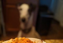 Keto Fried Chicken Tenders Keto Fried Chicken Tenders