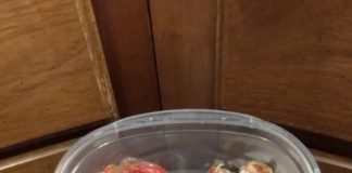 Low Carb Tuna “cakes” Tuna Cakes